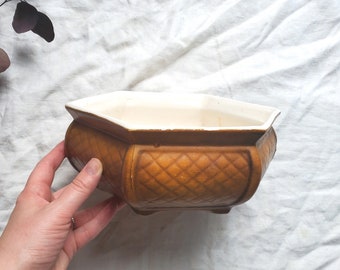 May include: A brown hexagonal ceramic planter with a white glazed interior. The planter has a diamond pattern on the exterior.