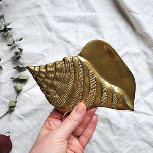 Vintage Brass Seashell Wall Decor, Brass Conch Wall Hanging, Brass ...