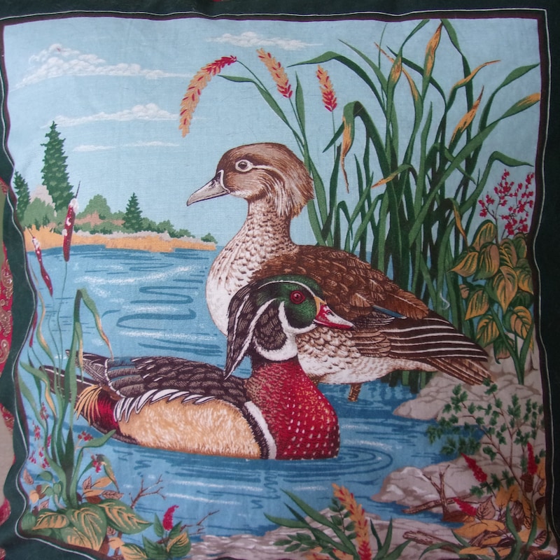 Nature Duck Embroidery Pillow main image 0