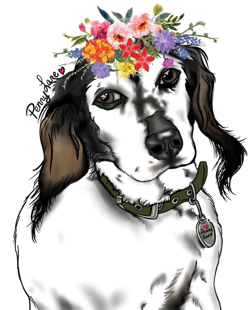 May include: A white and black dog wearing a floral crown and a green collar with a tag that reads "Penny Jane".