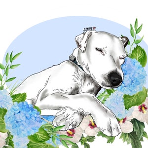 May include: A white dog with its eyes closed is sleeping in a bed of blue and white hydrangeas. The dog's name is "Atom" and is written above the dog's head in pink.