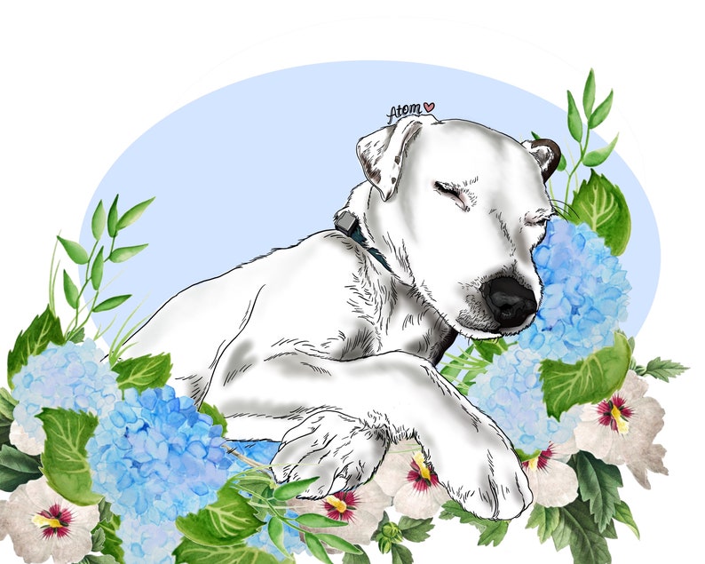 May include: A white dog with its eyes closed is sleeping in a bed of blue and white hydrangeas. The dog's name is "Atom" and is written above the dog's head in pink.