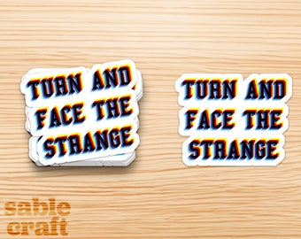 Turn and Face the Strange Vinyl Sticker David Bowie Rock and Roll Wall Art Ziggy Stardust Changes Hunky Dory