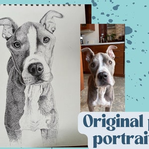 Pet portrait | Custom, hand-drawn ink drawing of your pet
