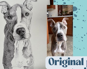 Pet portrait | Custom, hand-drawn ink drawing of your pet