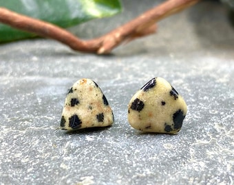 Dalmatian Jasper Stud Earrings / Dalmatian Jasper Jewelry / Jasper Jewelry / Healing Gemstones / Stud Earrings / Spotted Stone Jewelry