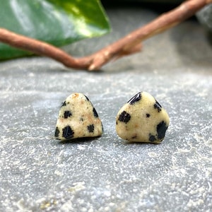 Dalmatian Jasper Stud Earrings / Dalmatian Jasper Jewelry / Jasper Jewelry / Healing Gemstones / Stud Earrings / Spotted Stone Jewelry