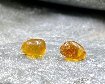Baltic Amber Stainless Steel Stud Earrings / Real Baltic Amber / Amber Earrings / Amber Studs / Amber Stud Earrings