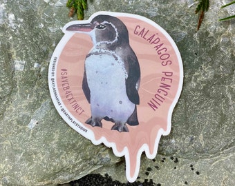 Galapagos Penguin Sticker / Animal Conservation Sticker / Save the Penguin / Donates to Animal Conservation / Penguin Art / Penguin Sticker