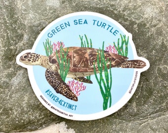 Green Sea Turtle Sticker / Sea Turtle / Animal Conservation Sticker / Donates to Animal Conservation / Marine life Art