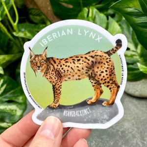 Iberian Lynx Sticker / Animal Conservation Sticker / Save the Iberian Lynx / Donates Lynx Conservation / Critically Endangered Animals