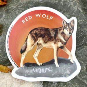 Red Wolf Animal Conservation Sticker / Save the Red Wolf  / Red Wolf / Red Wolf Sticker / Donates to Animal Conservation / Wolf Art