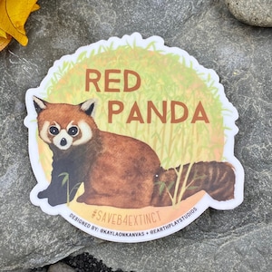 Red Panda Sticker / Animal Conservation Sticker / Save the Red Panda / Donates to Animal Conservation / Red Panda Art / Watercolor Sticker