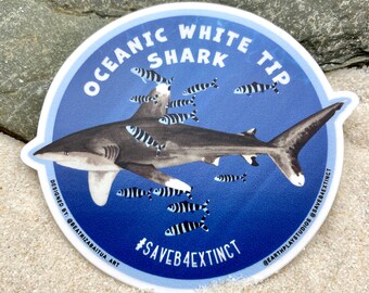 Oceanic White Tip Shark Sticker / Animal Conservation Sticker / Save the White Tip Shark / Donates Shark Conservation / Shark Week / Ocean