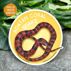 Roatan Coral Snake Sticker / Animal Conservation Sticker / Save the Roatan Coral Snakes / Donates Endangered Species Consservation