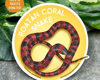 Roatan Coral Snake Sticker / Animal Conservation Sticker / Save the Roatan Coral Snakes / Donates Endangered Species Consservation