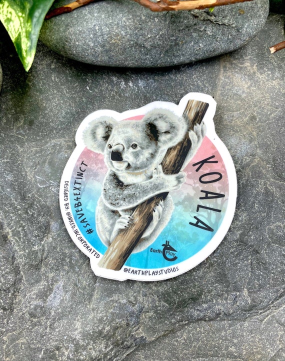 Koala Sticker / Animal Conservation Sticker / Save the Koalas Etsy