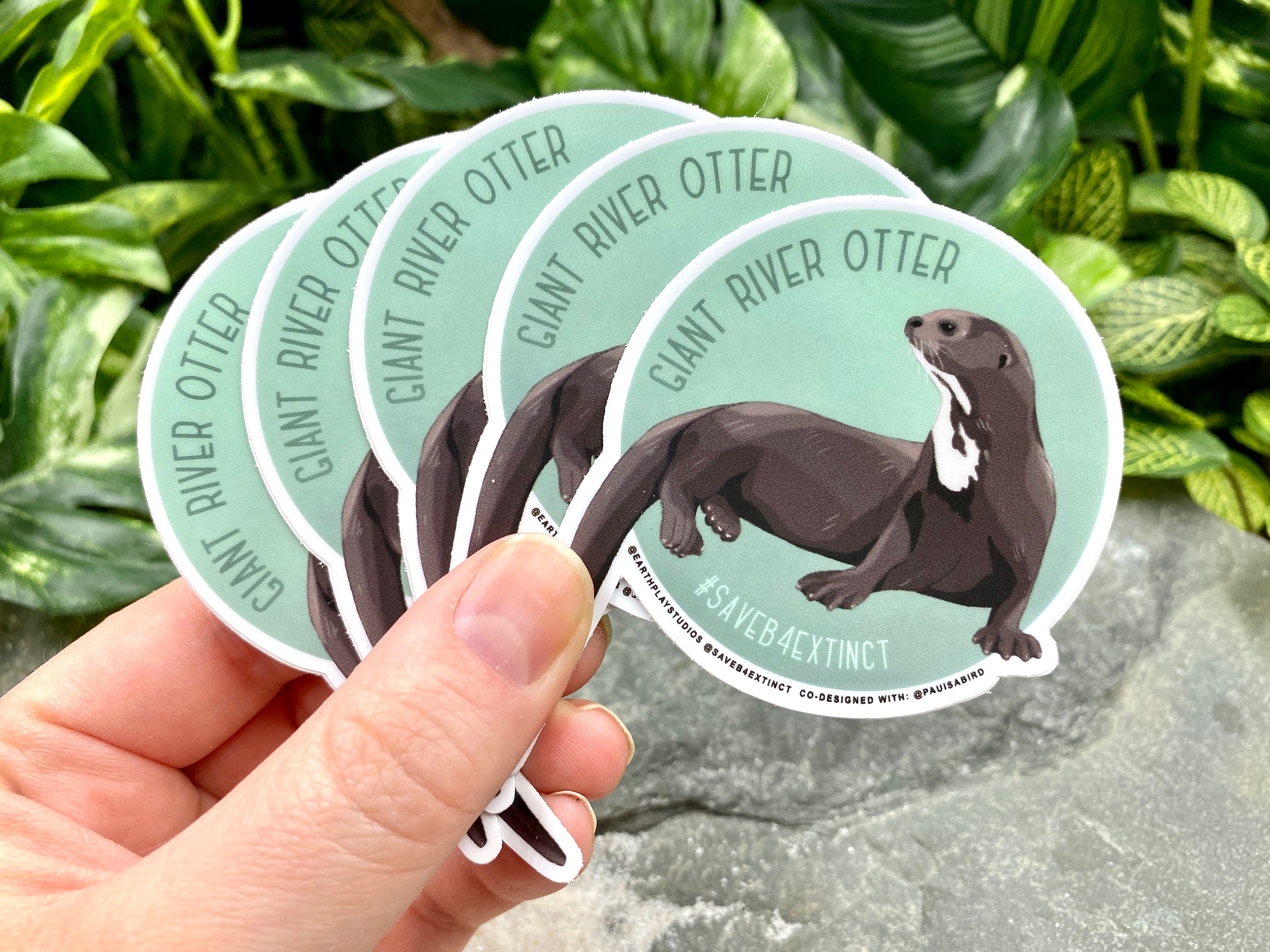 Giant River Otter Animal Conservation Sticker / Save the Giant - .de