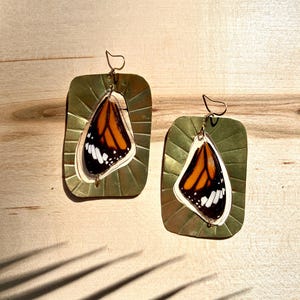 Real Ethically Sourced Monarch Butterfly Wing Earrings / Butterfly Conservation Earrings / Bold brass Earrings