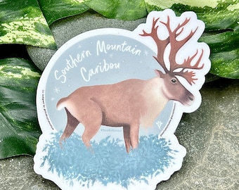 Caribou Conservation Sticker / Southern Mountain Caribou / Reindeer Sticker / Donates to Animal Conservation / Christmas Stickers / Deer