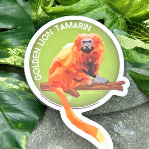 Golden Lion Tamarin Sticker / Animal Conservation Sticker / Save the Golden Lion Tamarin / Donates Endangered Species Conservation
