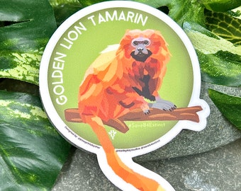 Golden Lion Tamarin Sticker / Animal Conservation Sticker / Save the Golden Lion Tamarin / Donates Endangered Species Conservation