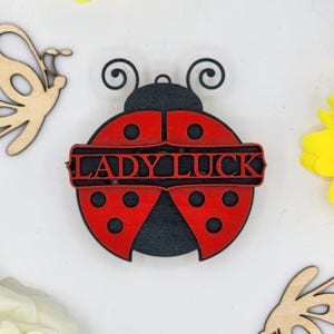 May include: A red and black wooden ladybug with the words "Lady Luck" written on it.