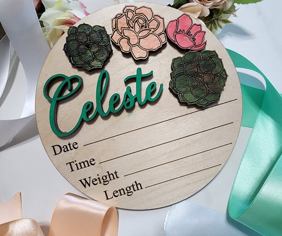 Custom Birth Annoucement Rounds INSERT ONLY 6" - Home Decor, Baby Shower sign, fits in Interchangable frame- S'Mores To the Moon Succulents