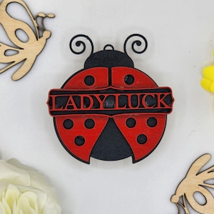 May include: A red and black wooden ladybug with the words "Lady Luck" written on it.