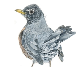 Realistic Nature Art Etsy