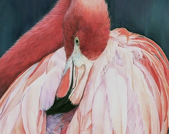 Pink Flamingo - Original watercolor bird print, Beach wall art by Shirley Greenville