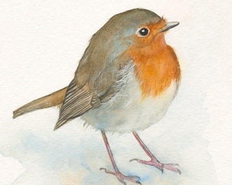 English Robin Print 5x7 of watercolor painting