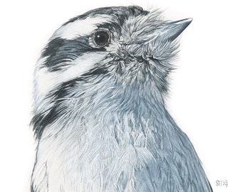 Downy Woodpecker print original watercolor bird 5 x7 inch by Shirley Greenville, Nature wall art, gift for bird lover
