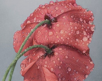 Poppies with raindrops, original watercolor painting by Shirley Greenville, 10 1/2 x 12 1/2 inches, not a print