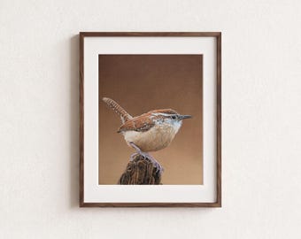 Carolina Wren Watercolor Print (8x10),  realistic bird wall art ,nature art, wren illustration by Shirley Greenville