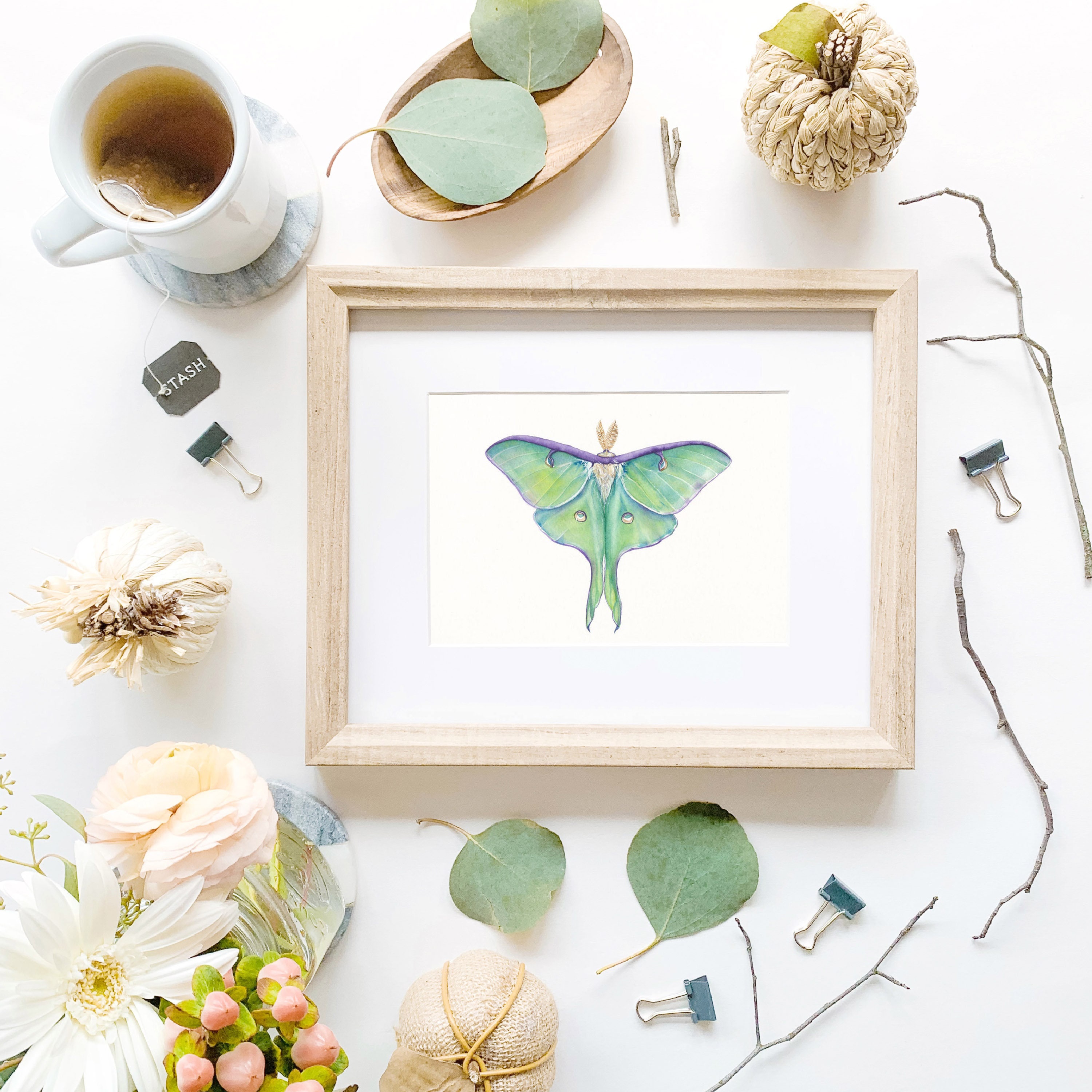 5x7 Luna Moth (actias Luna) Print of Watercolor Painting, Insect ...