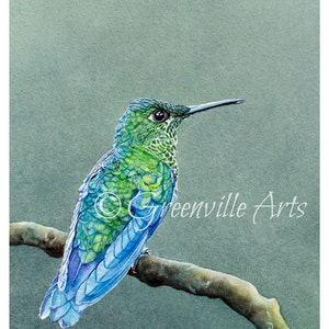 Hummingbird Print 5x7 of watercolor painting 5" by 7"