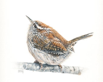 Carolina Wren Print 5x7 of watercolor painting 5 by 7, bird watercolor, Wren wall art, Wildlife Illustration,Nursery Art,Nature Art Print