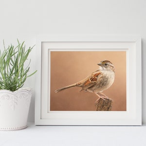 May include: A framed print of a white-throated sparrow perched on a branch. The bird is brown and white with a yellow stripe over its eye. The background is a soft brown color.