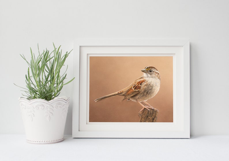 May include: A framed print of a white-throated sparrow perched on a branch. The bird is brown and white with a yellow stripe over its eye. The background is a soft brown color.