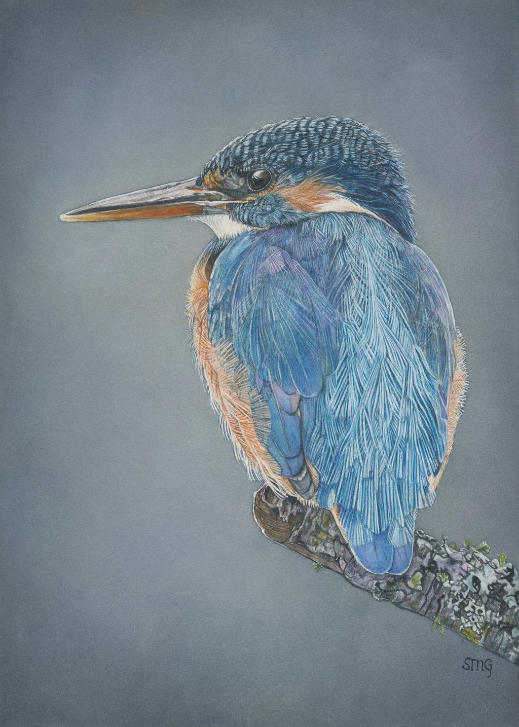 Kingfisher watercolor bird Print 5x7 of watercolor painting 5" by 7"