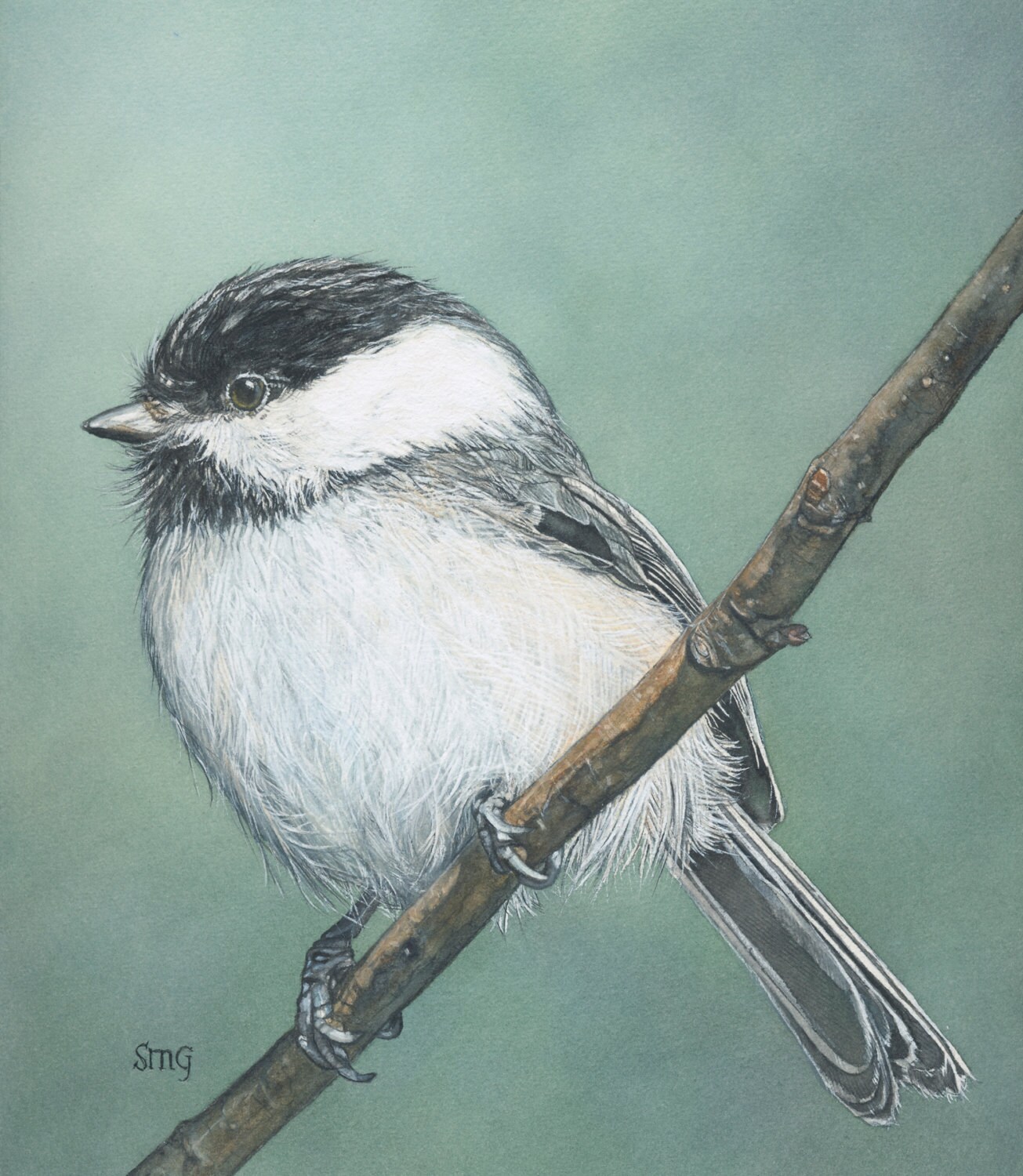 BlackCapped Chickadee original watercolor bird art Etsy