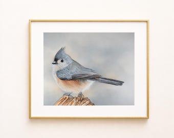 Tufted Titmouse bird print (8x10), original watercolor painting, realistic wall art