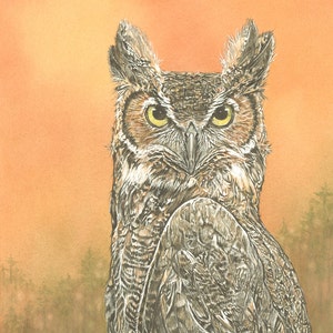 Great Horned Owl - print of Original watercolor - owl wall art