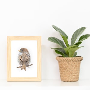 Puede incluir: Un dibujo enmarcado de un gorri&oacute;n marr&oacute;n posado en una rama, con una planta verde en una maceta de mimbre a la derecha.