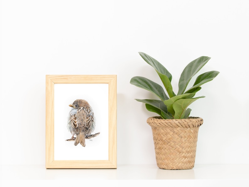 Puede incluir: Un dibujo enmarcado de un gorri&oacute;n marr&oacute;n posado en una rama, con una planta verde en una maceta de mimbre a la derecha.