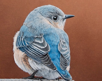 Bluebird Print 5x7 of watercolor painting 5 by 7 by Shirley Greenville, cute bird wall art, print for nursery, gift for bird lover