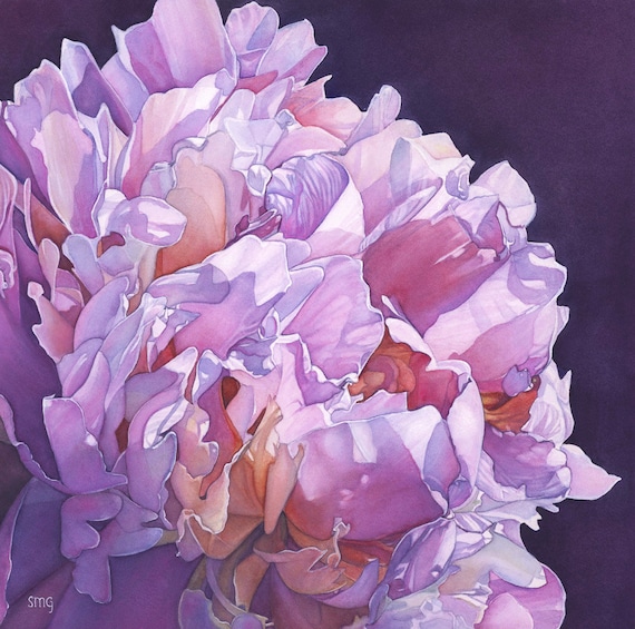 Pink Peony Watercolor Painting Print Choice of Sizes | Etsy
