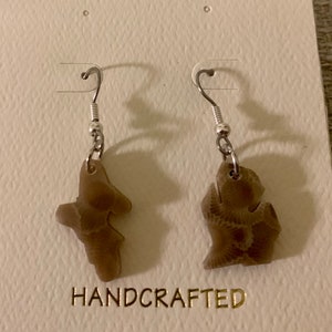 Michigan earrings made from Petoskey Stone