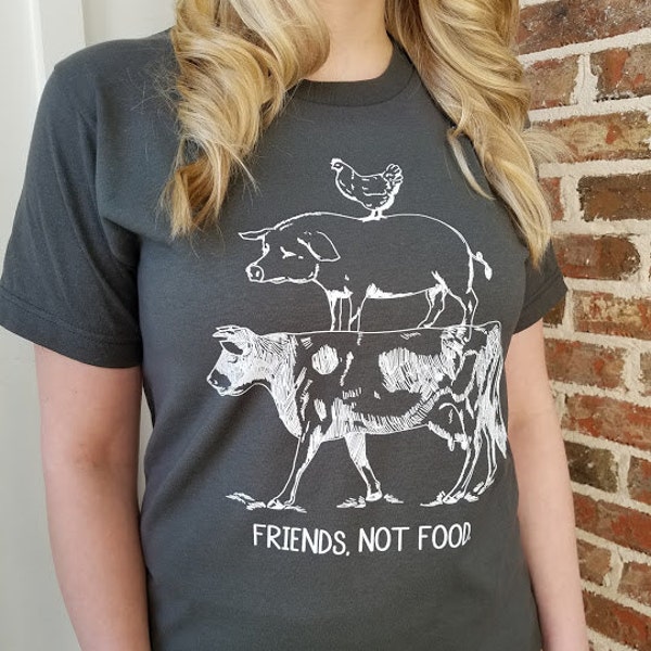 Vegetarian Farm Animal T Shirt, Friends Not Food, Vegan Shirt, Vegetarian Shirt, No Meat, Cow Pig Chicken Pyramid Tee, Unisex - Item 1380